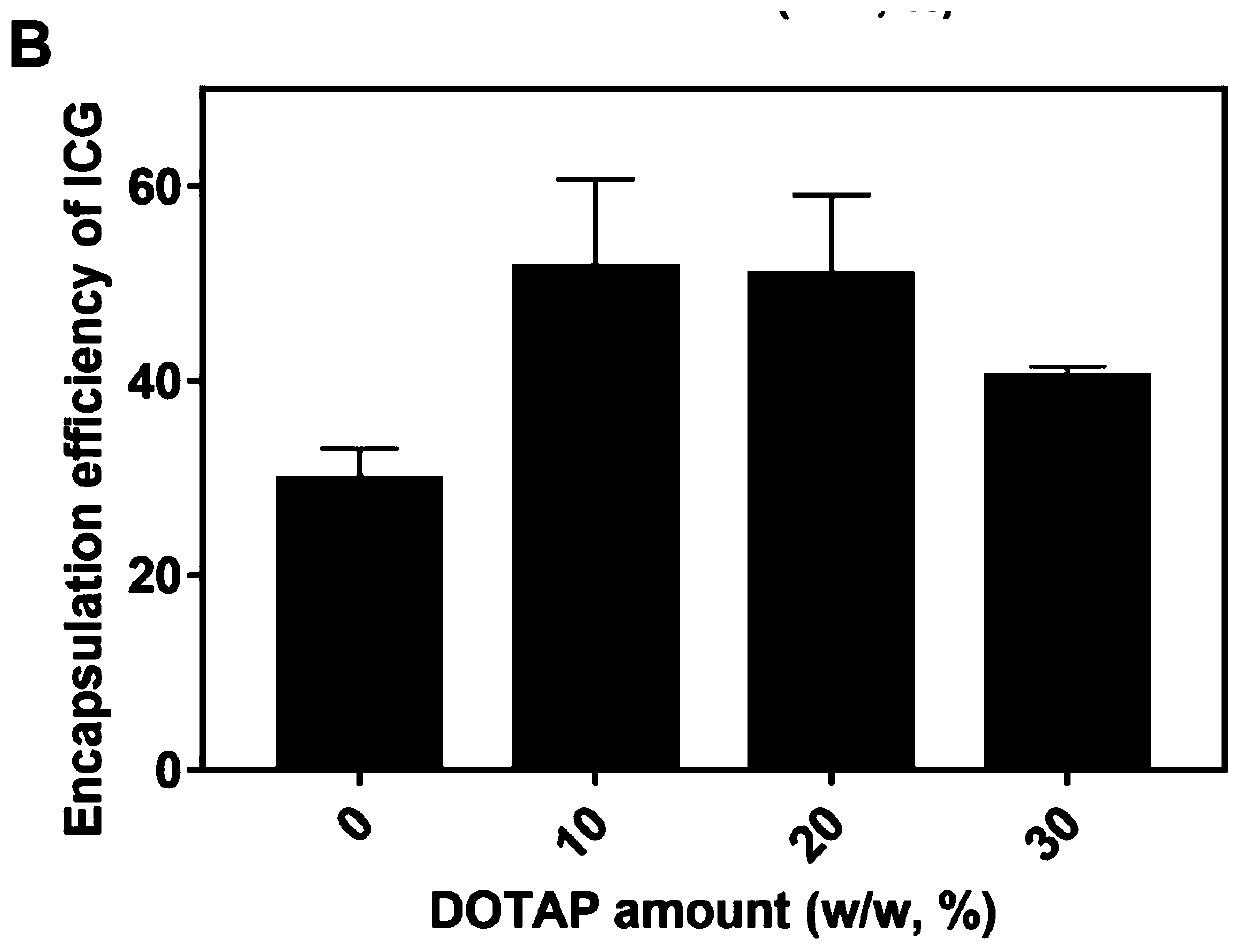 Dual-functional nanoparticle, soluble microneedle and preparing method and application of nanoparticle