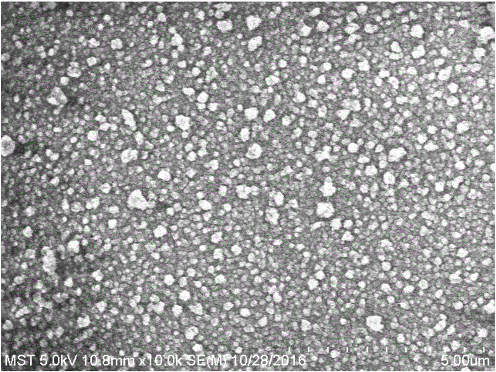 Supermolecule composite nanofiltration membrane and preparation method and application thereof