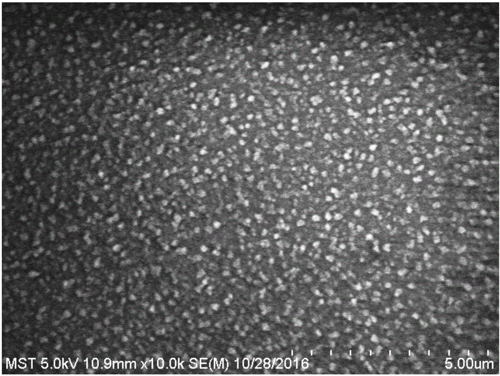 Supermolecule composite nanofiltration membrane and preparation method and application thereof