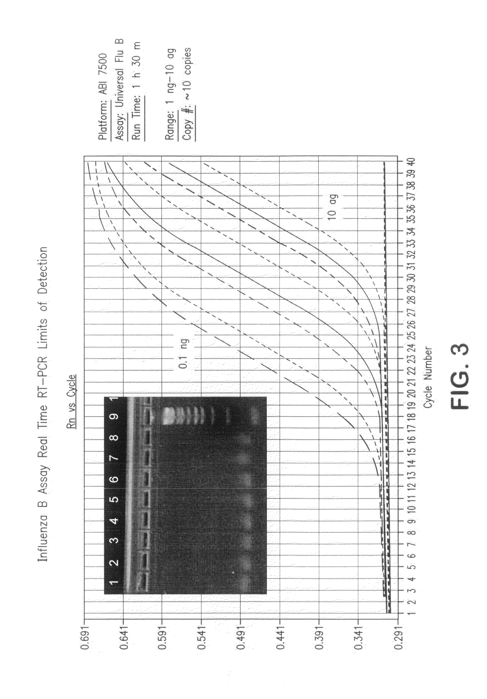 Biological organism identification product and methods