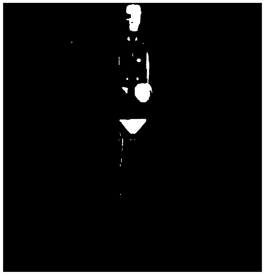 Nuclear facility decommissioned human body exposure dose assessment method