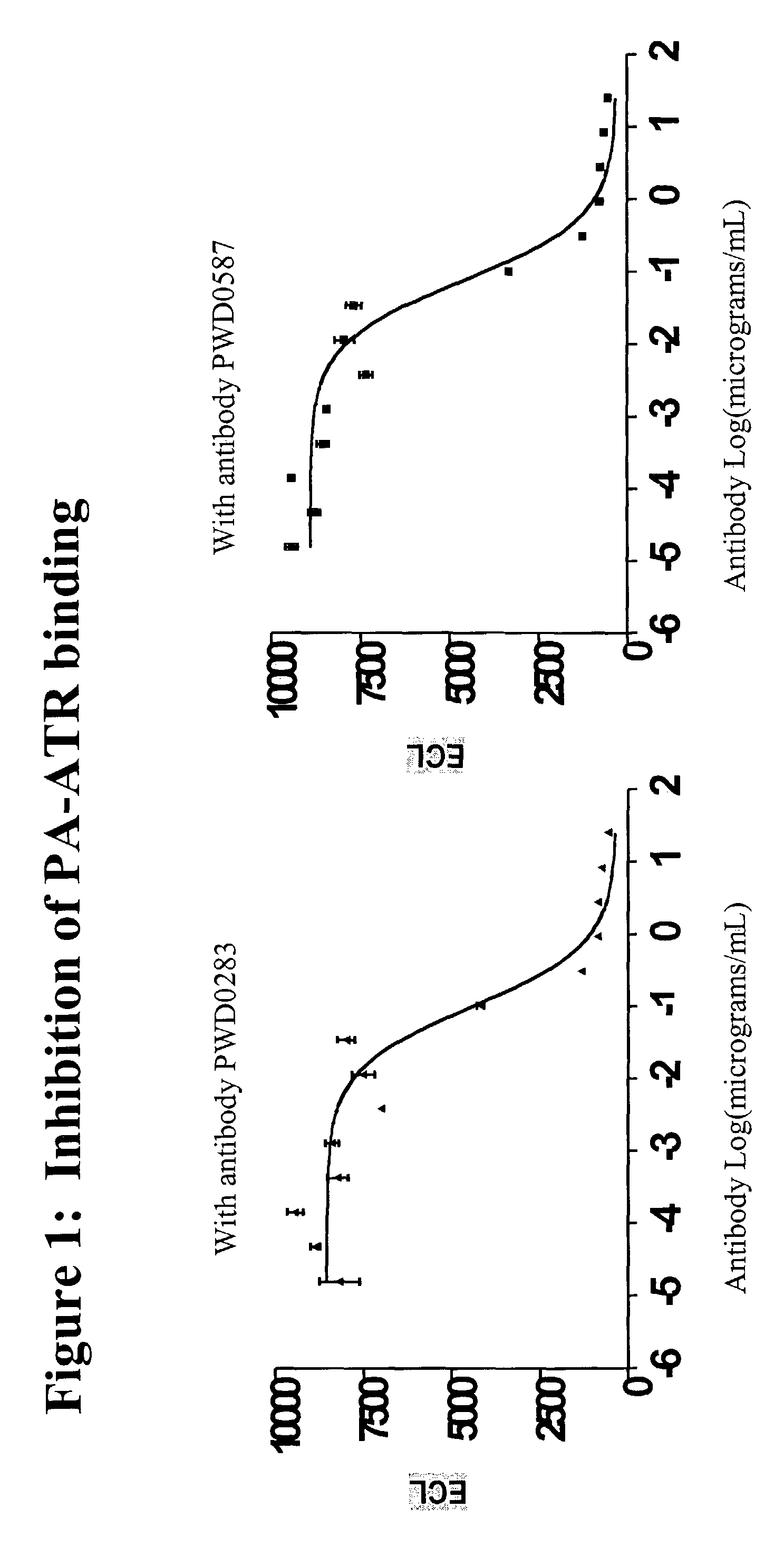 Antibodies against protective antigen