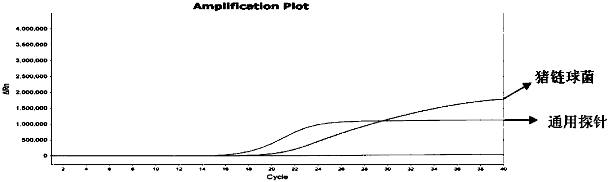 Multiple real-time fluorescence PCR detection primer composition for identifying streptococcus suis and pig pasteurella multocida and detection method