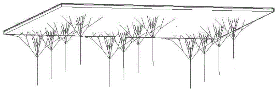 Forest structural system