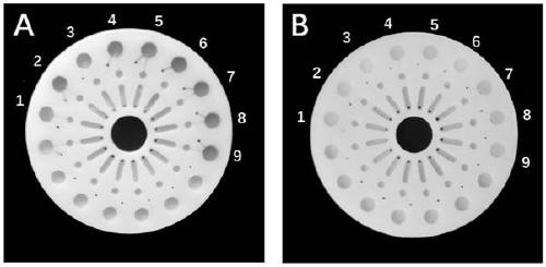 High-throughput quantitative detection kit for pathogenic vibrio