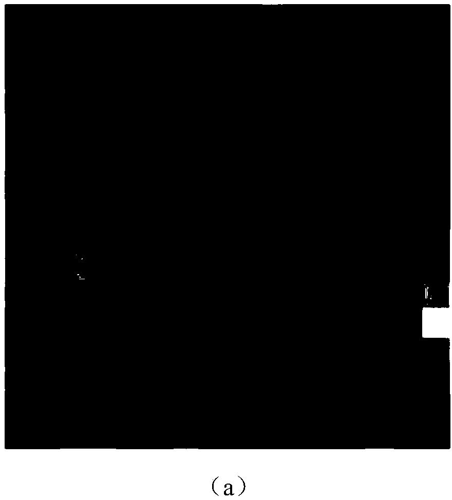 High spectral image super-resolution method based on probability generation model