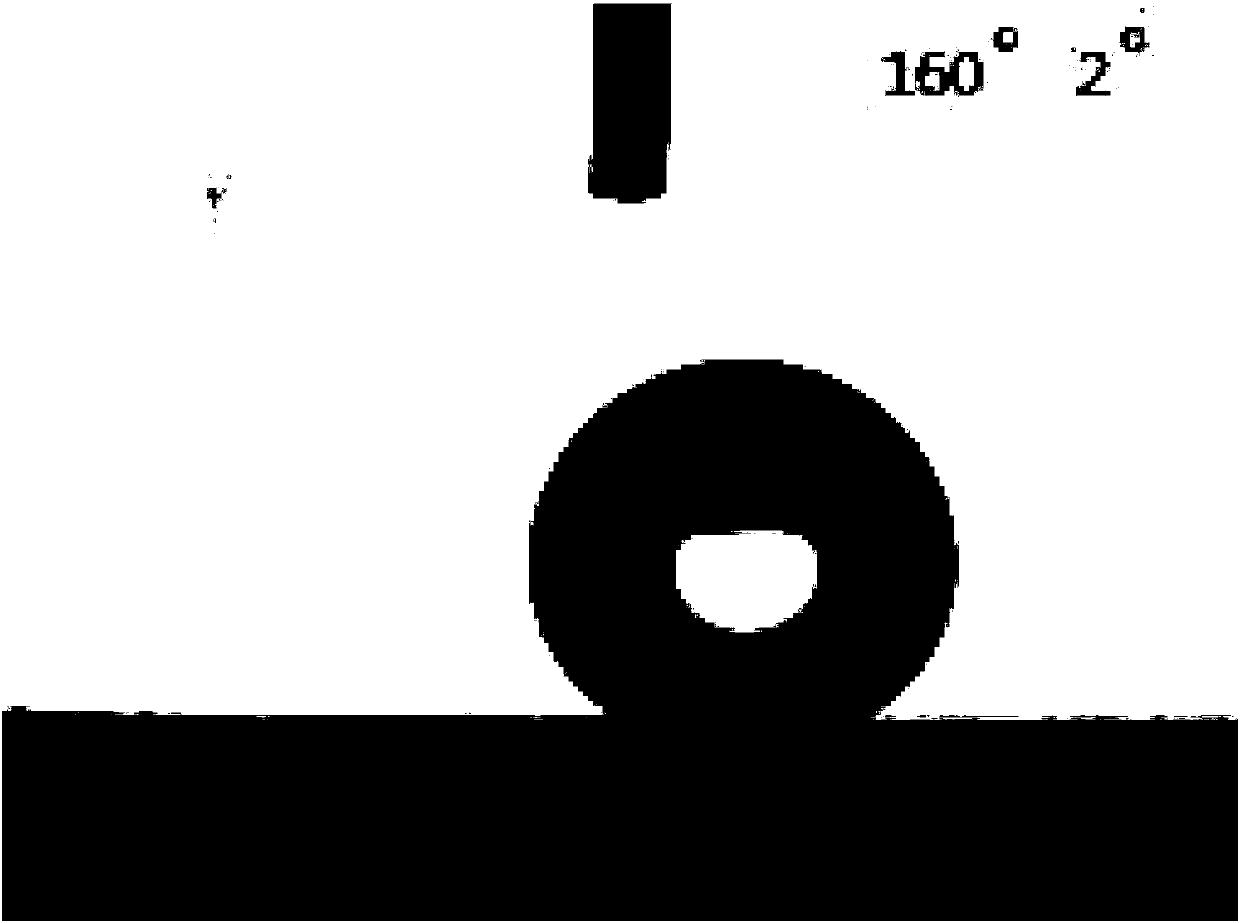 Film with self-cleaning property and preparation method thereof