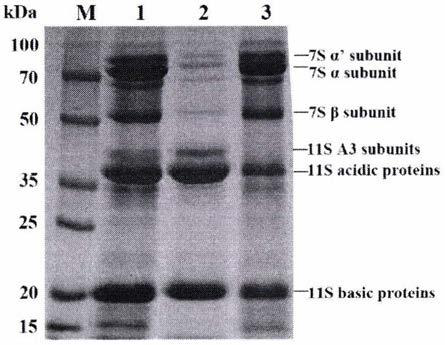 Green separation and extraction method of soybean 7S globulin and 11S globulin