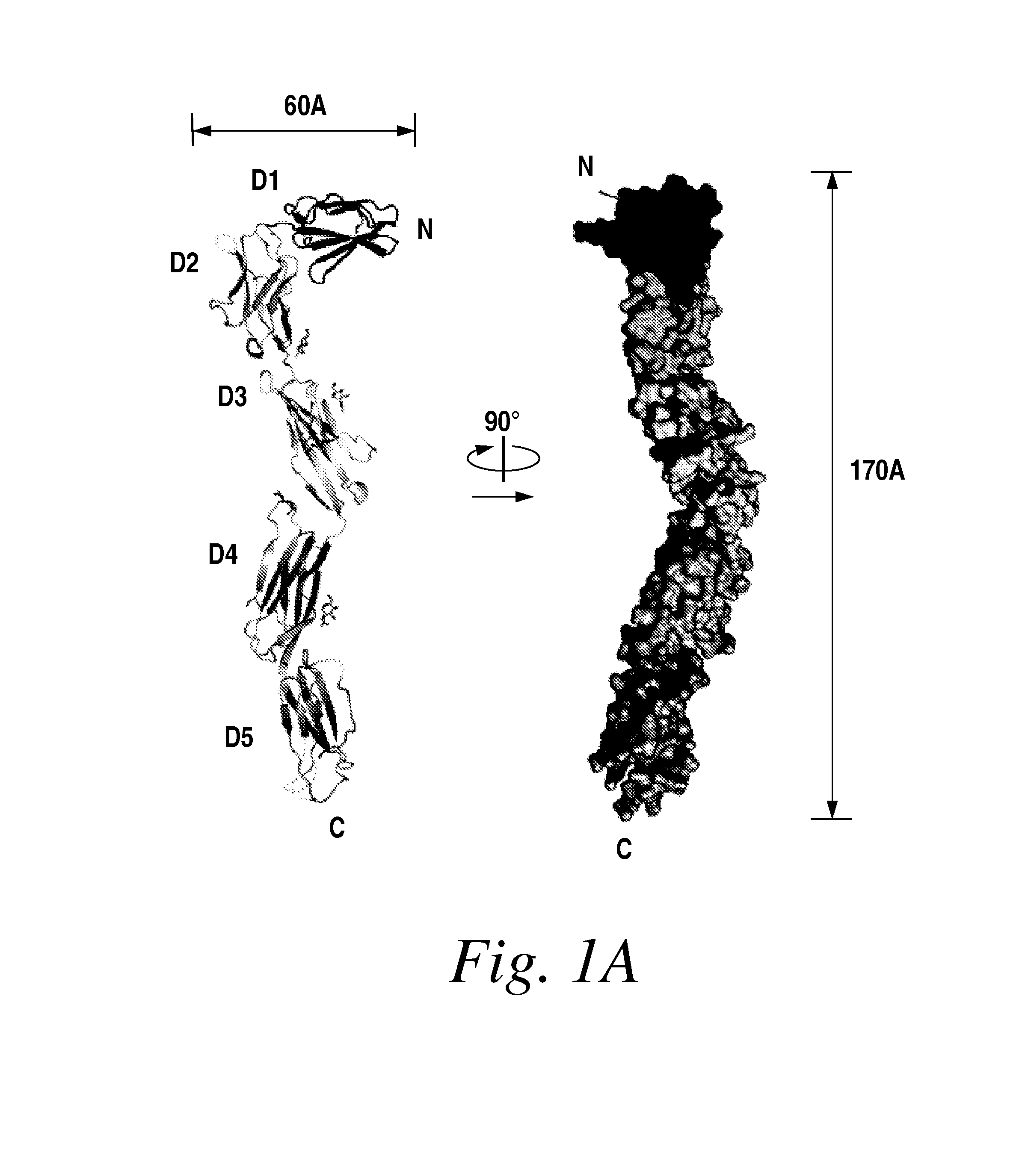 Inhibitors of vascular endothelial growth factor (VEGF) receptors and methods of use thereof