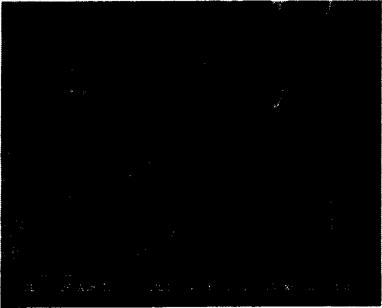 Preparing low density porous tin dioxide nano fiber laser target material by electro-static spinning method