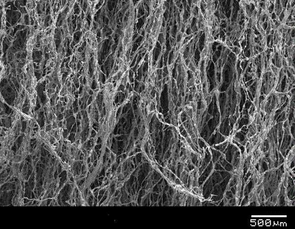 Magnetically oriented ice-template method for conductive and wear-resistant composites