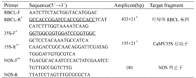 Recombinant plasmid for detecting components in transgenic plant and application thereof