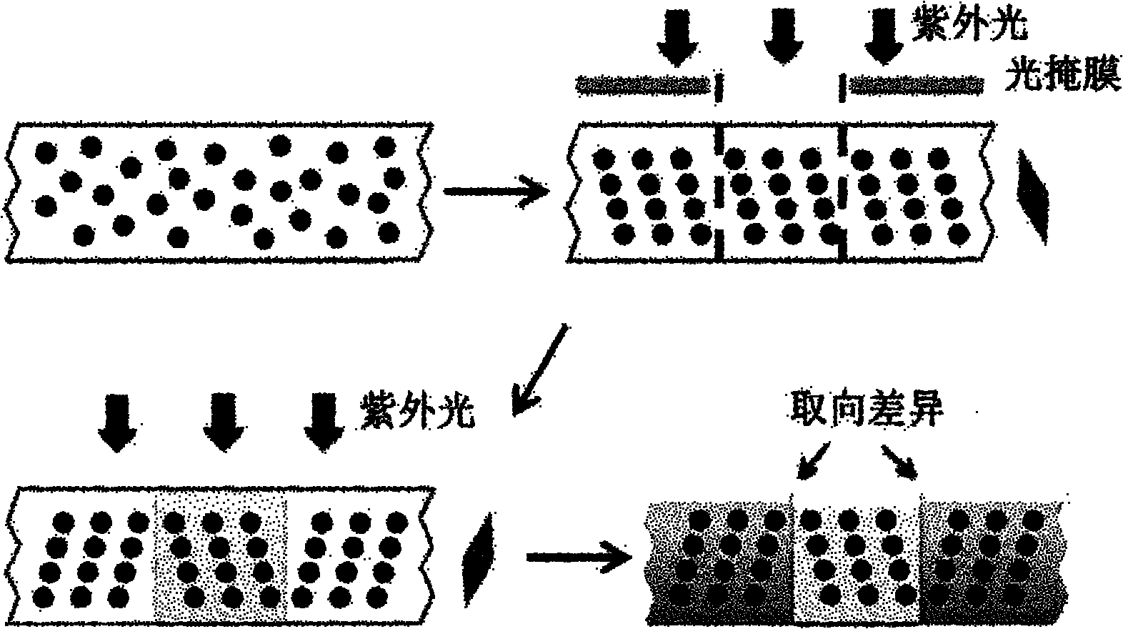 Colloid photonic crystal printing method based on magnetic field orientation control