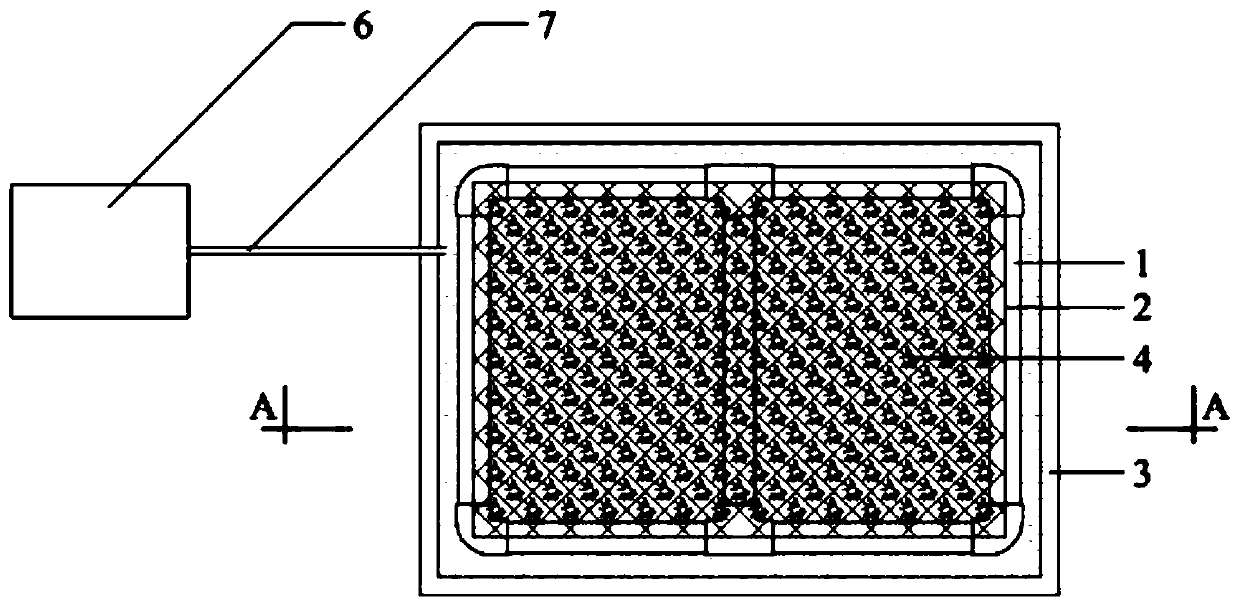 Substrate-free cultivation method of warm-season lawn based on artificial floating bed