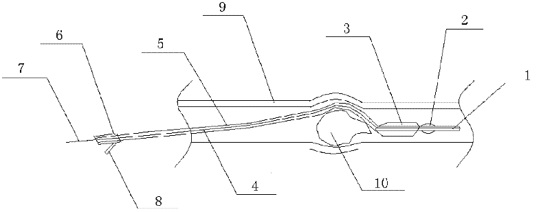 Body cavity plugging device with double-blocking effect and application thereof