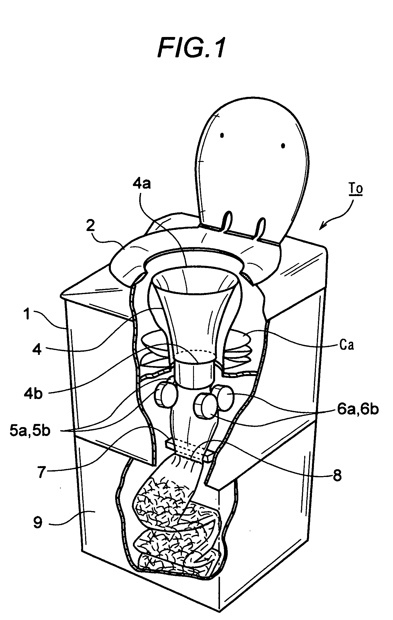 Toilet apparatus with processing material