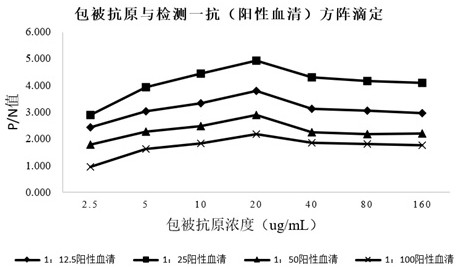 Method for detecting in-vitro efficacy of mycoplasma hyopneumoniae inactivated vaccine based on ELISA method