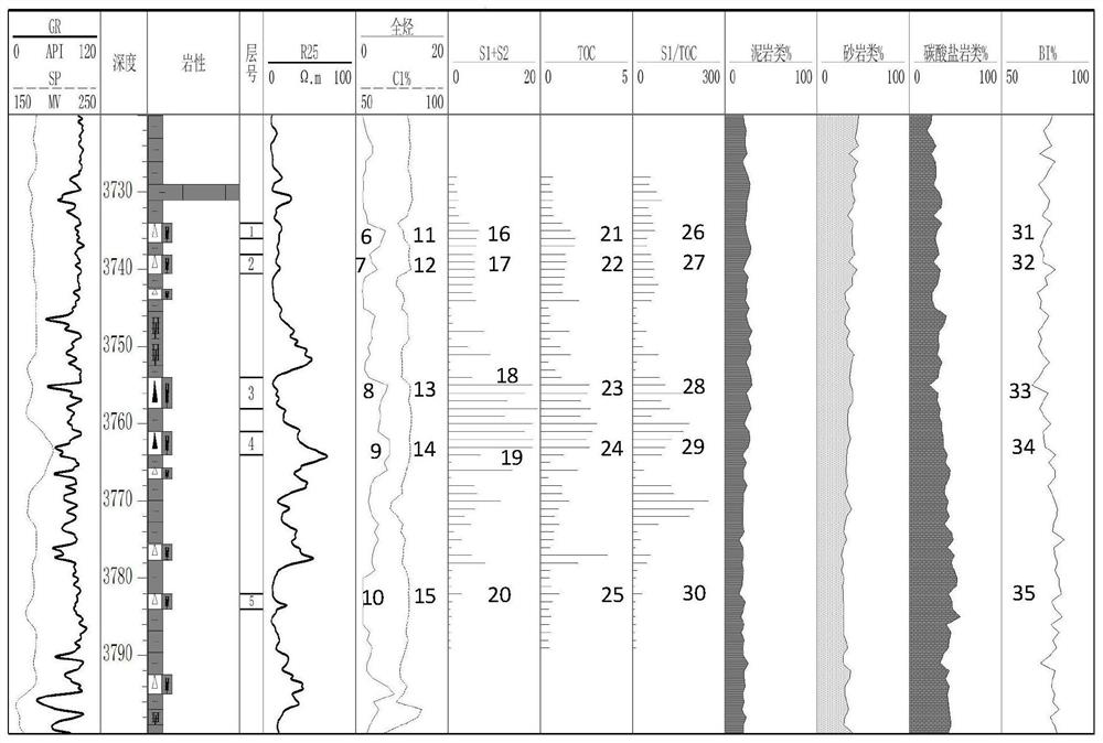 A fine identification method for dominant lithology of shale oil