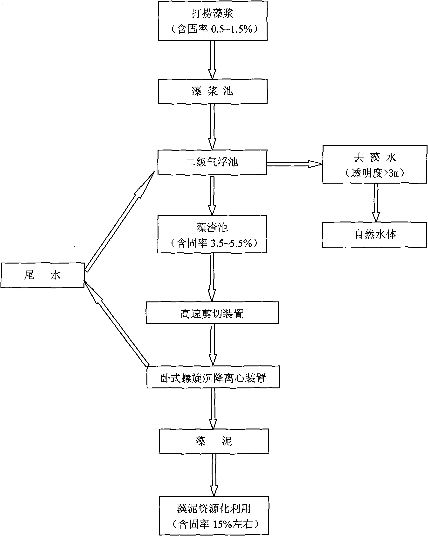 Algae-laden water separation process for scale and engineered treatment of high concentration algae slurry