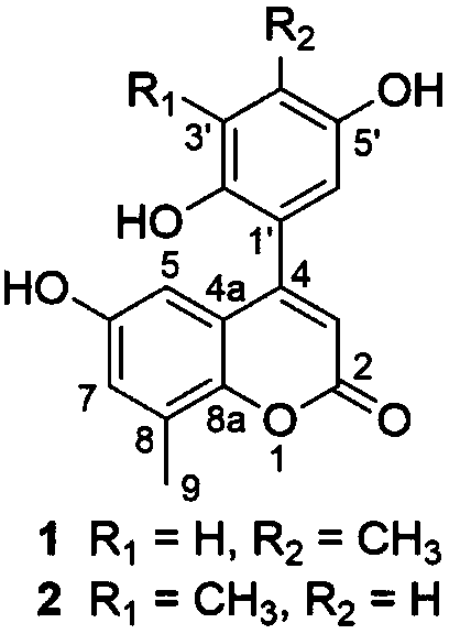 Coumarin compound and extracting method thereof