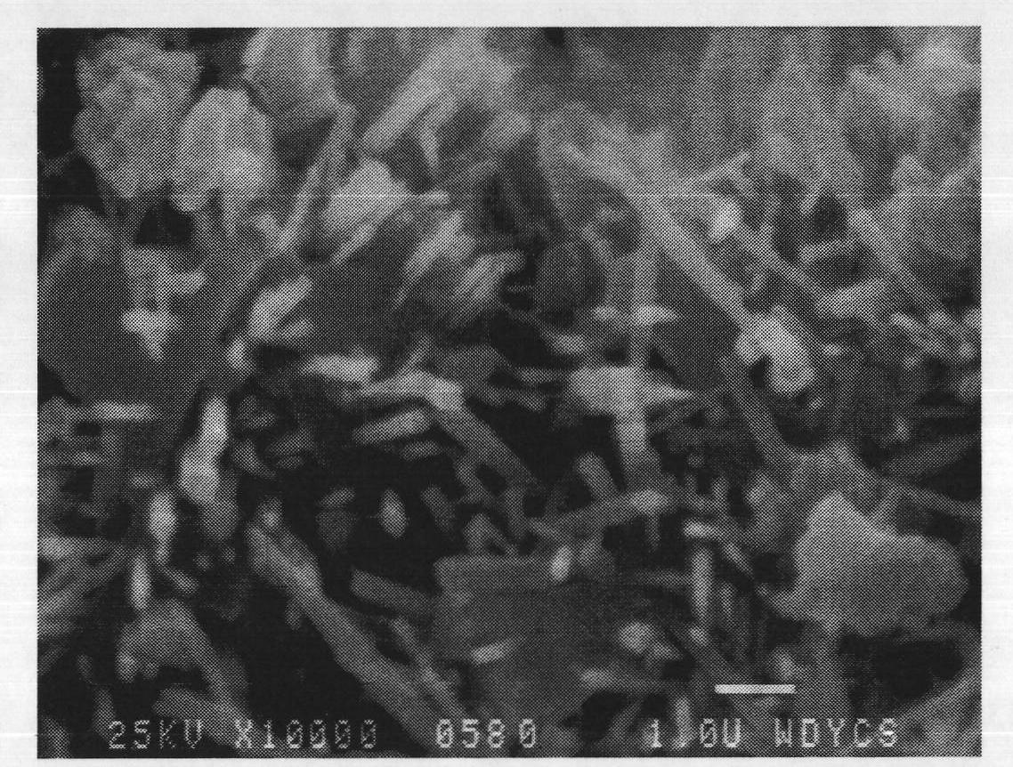 Method for preparing high-silicon mordenite by using raw mineral material