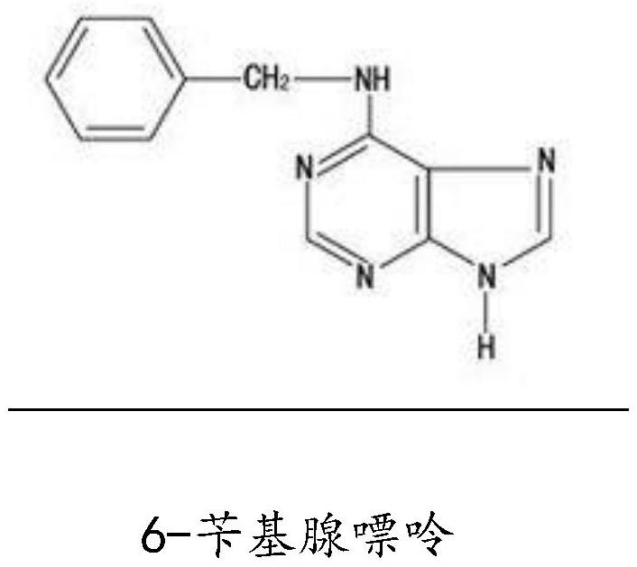 Mesenchymal stem cell secretion factor and content and honeysuckle stem cell extract composition and preparation method thereof