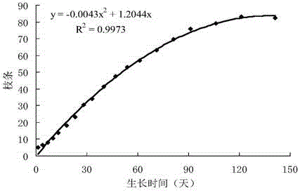 Method for restoring hydro fluctuation belt of reservoir using phalaris arundinacea