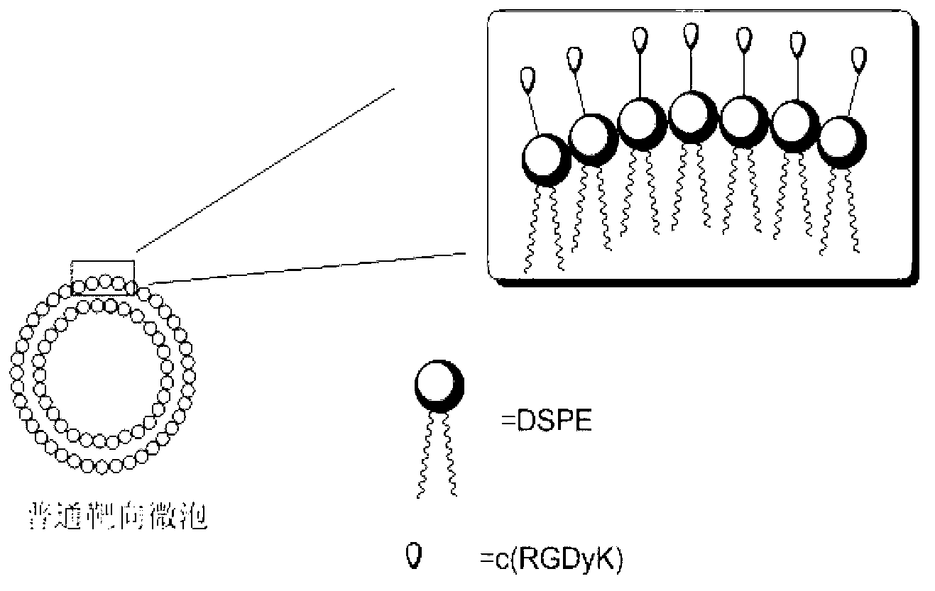 Targeted micro-bubble contrast agent and preparation method thereof