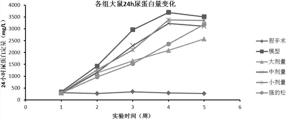 Pharmaceutical composition for treating nephritic syndrome, as well as preparation method and applications thereof