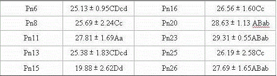 Method for determining pathogenicity of phytophthora nicotianae through pumpkin chips