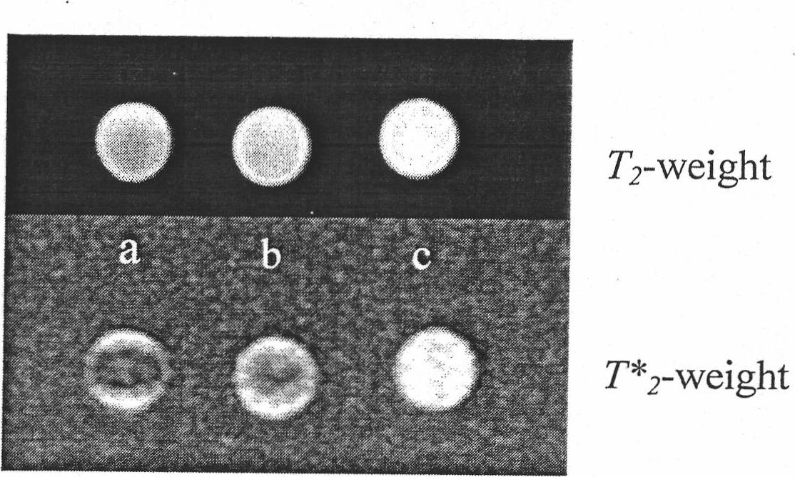 Preparation and application of polymer-coated magnetic nanoparticle contrast agent