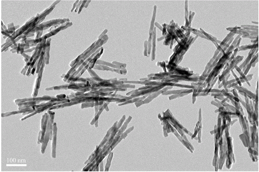 Efficient photocatalyst for bismuth vanadate nanorod and preparation method of catalyst