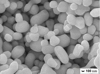 Micro/nano potassium yttrium tungstate near-spherical particles and preparation method thereof