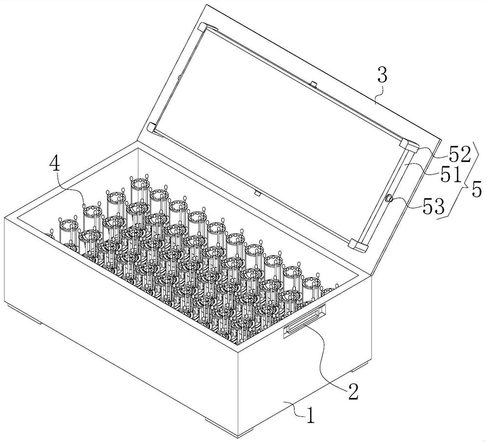 Box special for temperate-zone fresh-cut rose cold chain transportation