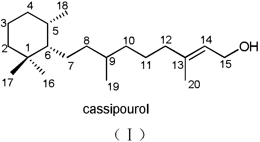 Monocyclic diterpene compound cassipourol, and preparation method and pharmaceutical application thereof