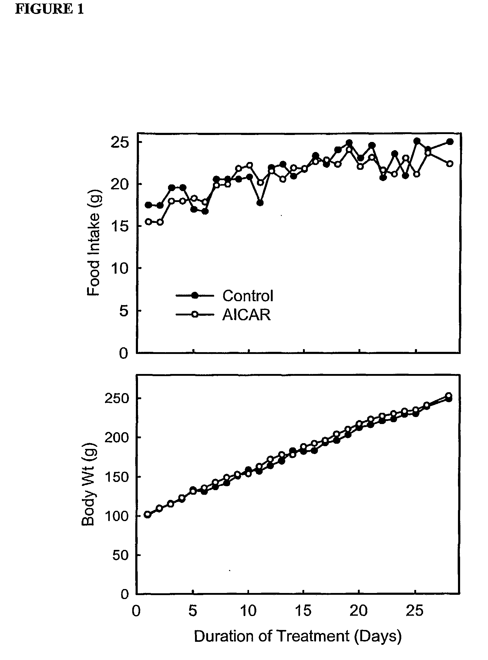 Method of treatment of obesity and paralyzed muscle and ergogenic aids