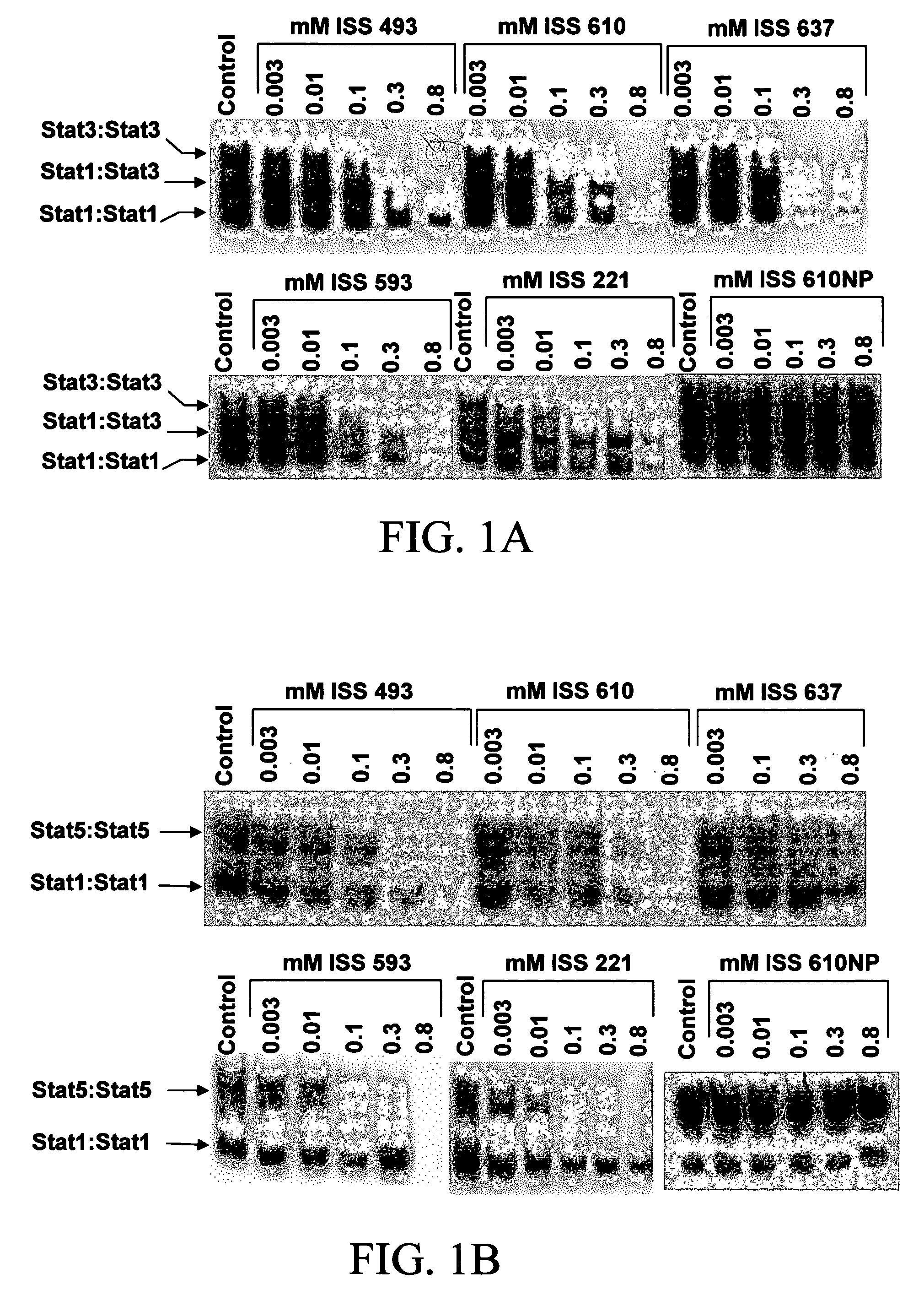 Peptidomimetic inhibitors of STAT activity and uses thereof