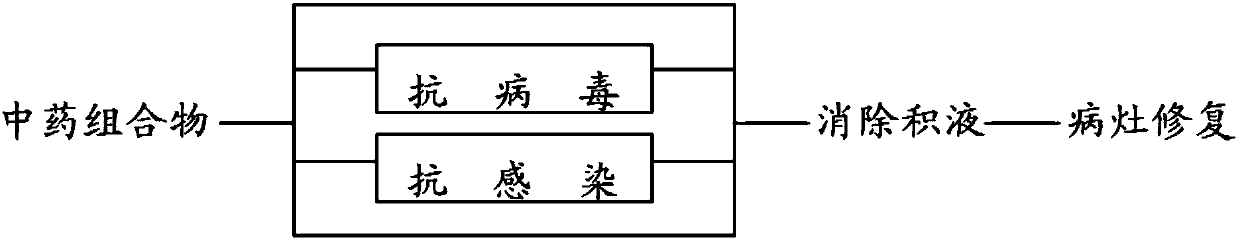 Traditional Chinese medicine composition for treating lung diseases, preparation process and application