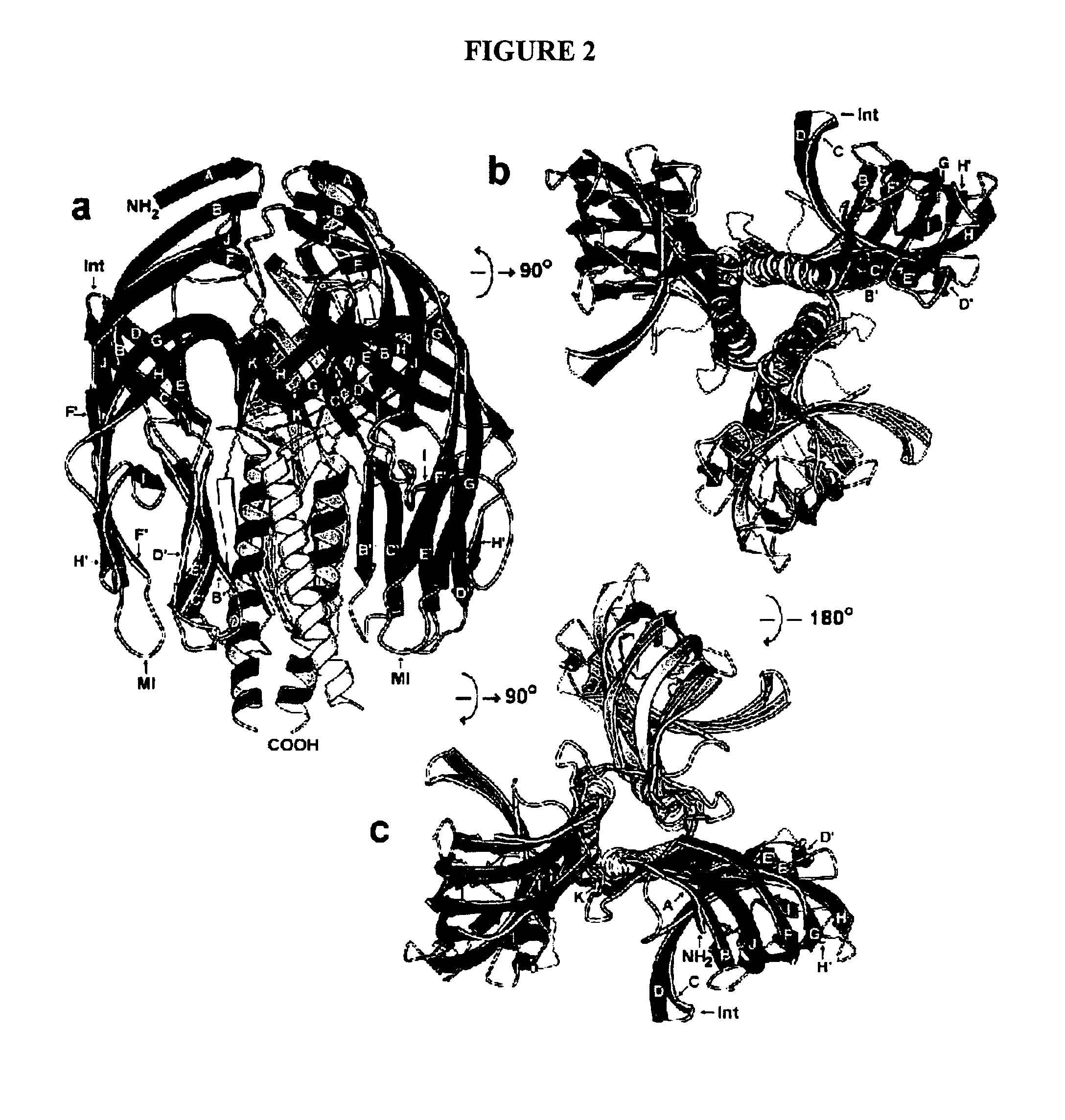 Rotavirus antigens