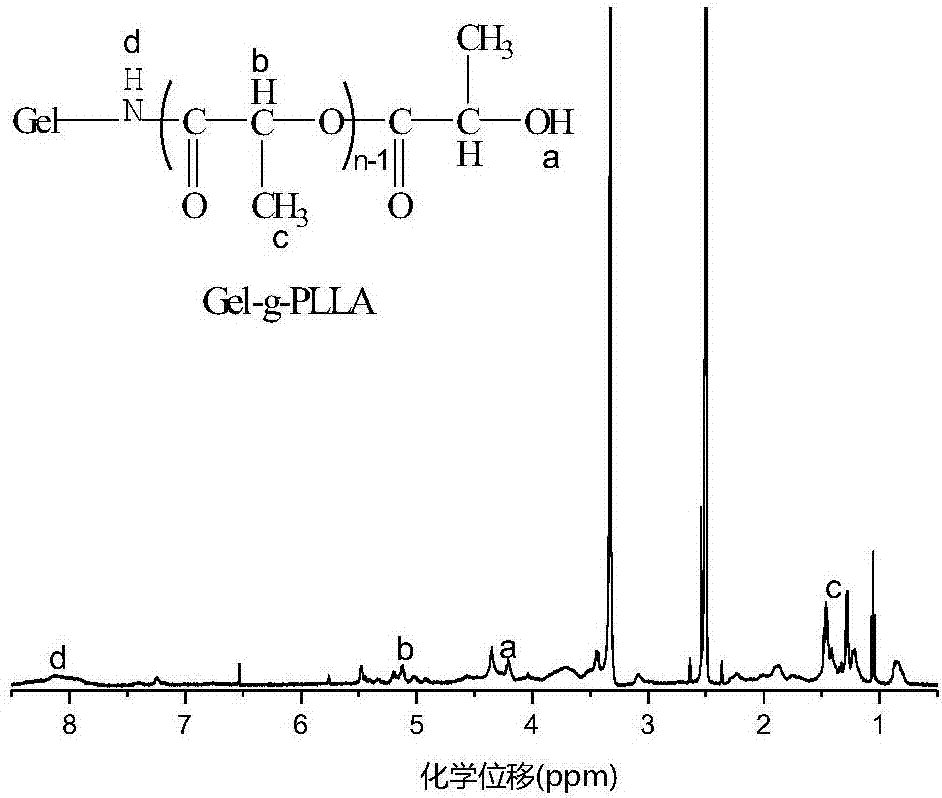 Gelatin-polylactic acid grafted amphipathic copolymer nano-micelle material and preparation method thereof