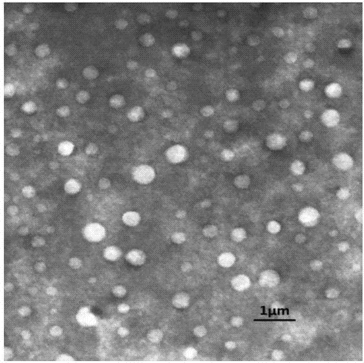 Gelatin-polylactic acid grafted amphipathic copolymer nano-micelle material and preparation method thereof