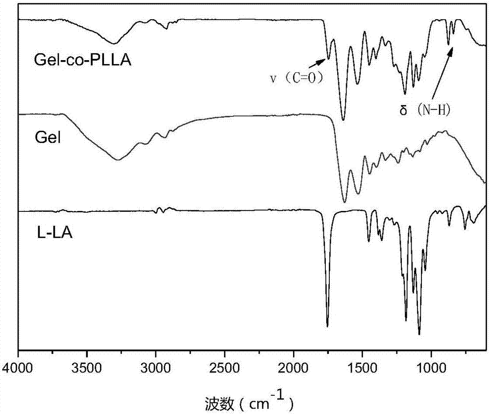 Gelatin-polylactic acid grafted amphipathic copolymer nano-micelle material and preparation method thereof