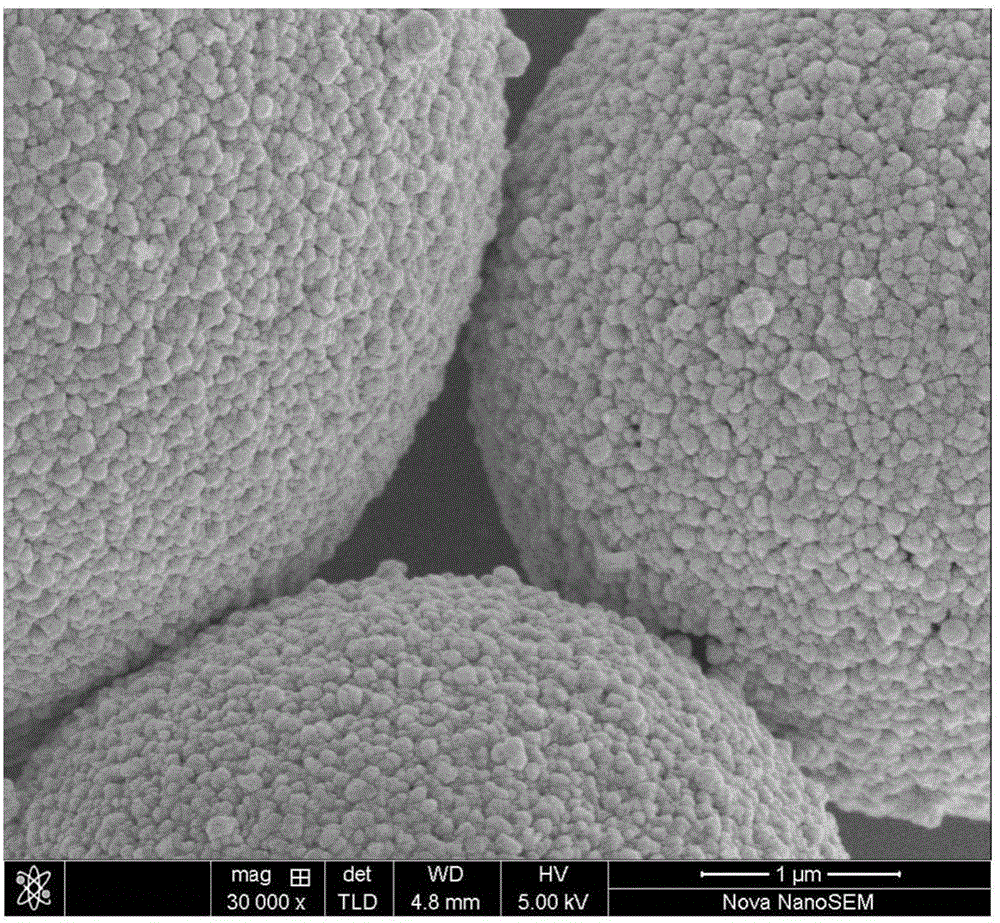 Stretchable flexible conductive composite material as well as preparation method and application thereof