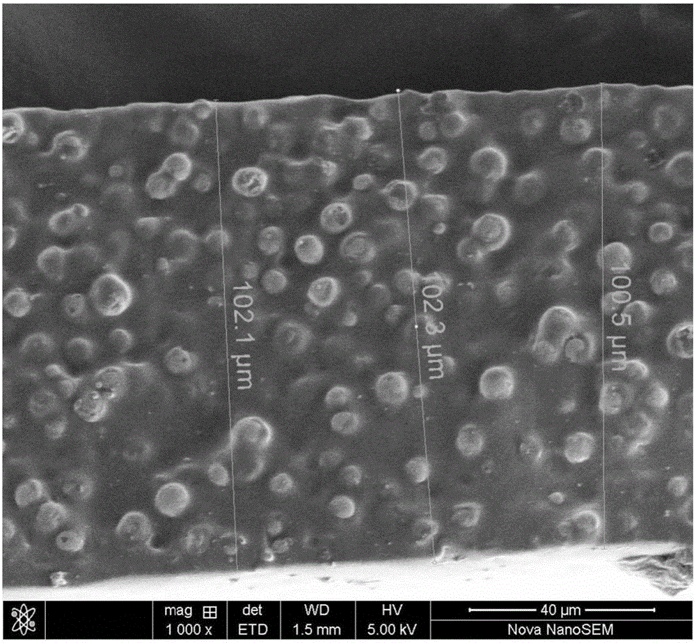 Stretchable flexible conductive composite material as well as preparation method and application thereof