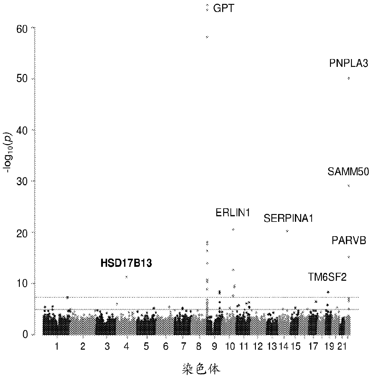 Hydroxysteroid 17-beta dehydrogenase 13 (hsd17b13) variants and uses thereof