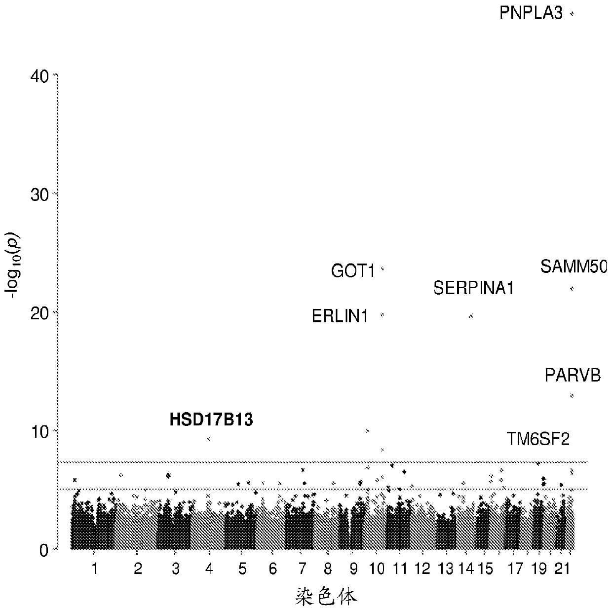 Hydroxysteroid 17-beta dehydrogenase 13 (hsd17b13) variants and uses thereof