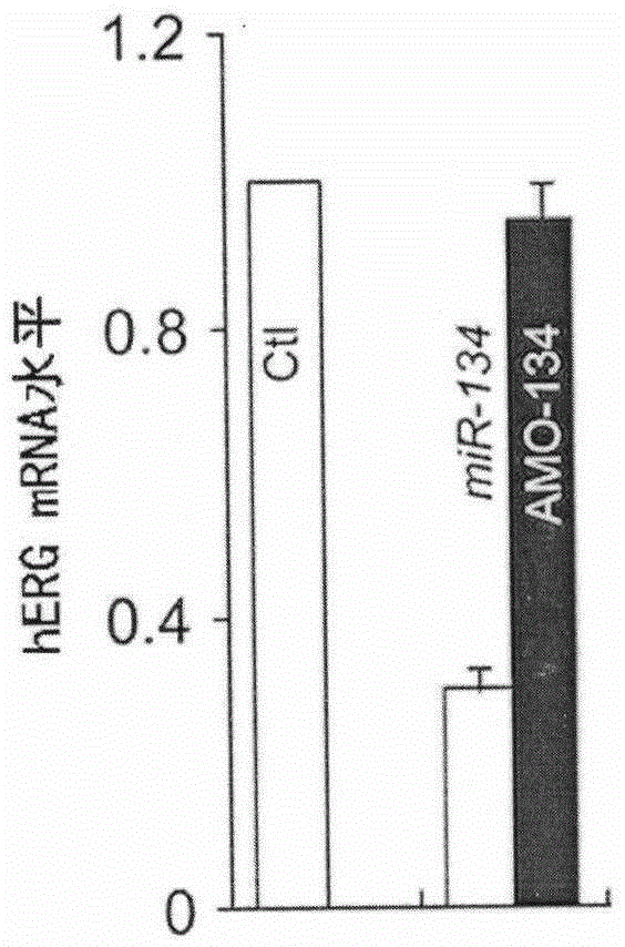 Application of AMO-134 in preparation of medicine for treating arrhythmia