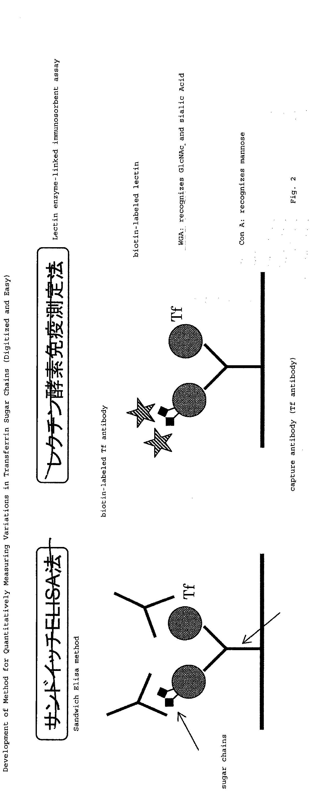 Diagnostic kit for alzheimer's disease, diagnostic marker, and detection method for indicator of pathological state thereof