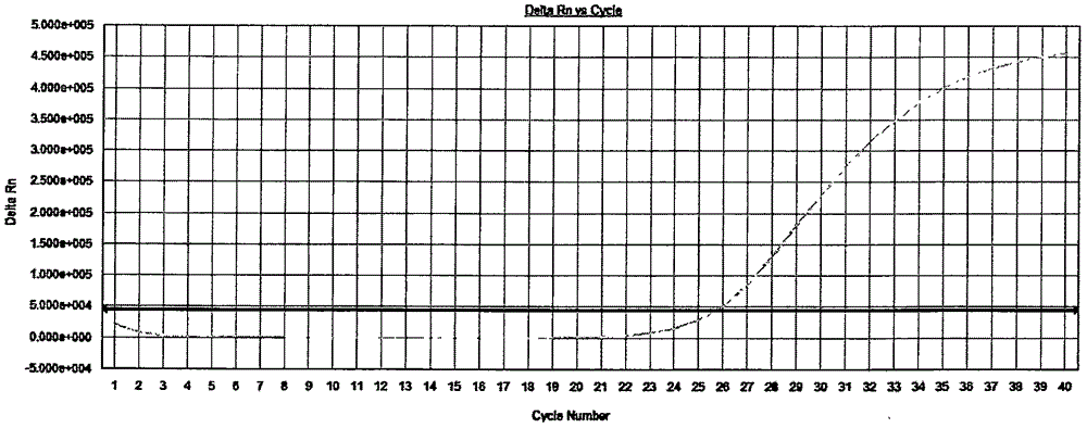 Kit capable of quickly detecting classical swine fever virus/porcine reproductive and respiratory syndrome virus/pseudorabies virus/porcine parvovirus