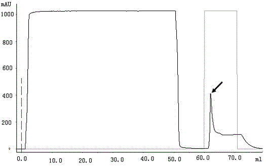 Recombinant bacterium for preparing bacteriocin durancin GL and preparation method and application of recombinant bacterium